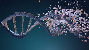 What’s The Role of DNA?
